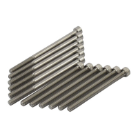 SUPERTRAPP STAINLESS STEEL RACE BOLTS