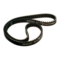 PANTHER - 1 INCH REAR BELT, 126T