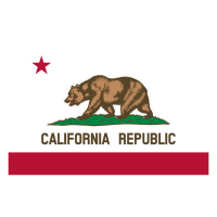 FOSTEX FLAG CALIFORNIA