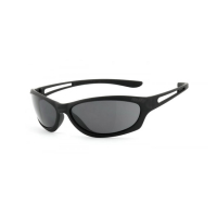 Helly biker shades Flybar 3, smoke