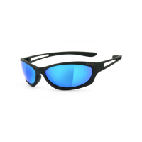 Helly biker shades Flybar 3 laser blue