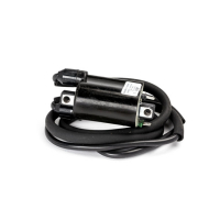 Rick's ignition coil