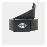 Dickies orcutt belt olive green