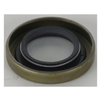 Cycle Electric, oil seal. Generator end cap
