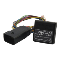 Motogadget, mo.can J1850 XL Molex connector