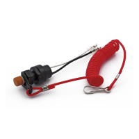 Emergency ignition kill switch, clip-on lanyard