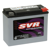 SVR, sealed AGM battery. 12 Volt, 22AMP, 340CCA