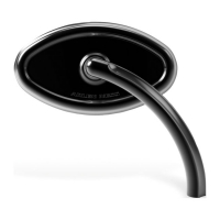 NESS CURVACEOUS CATS EYE MIRROR BLACK