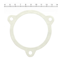 James, throttle body/filter to air cleaner housing gasket