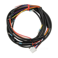 COMPLETE WIRING HARNESS