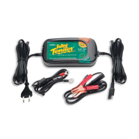 INTERNATIONAL PLUS 12V4A CHARGER