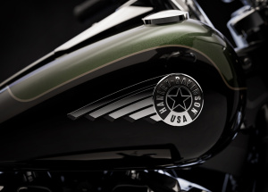 HARLEY-DAVIDSON FLFB FAT BOY 5