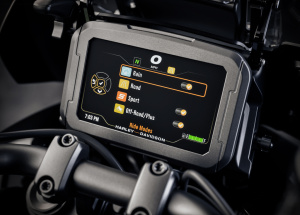 HARLEY-DAVIDSON PAN AMERICA LIMITED 4