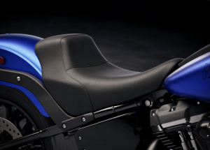 HARLEY-DAVIDSON FXLRS LOW RIDER S 2