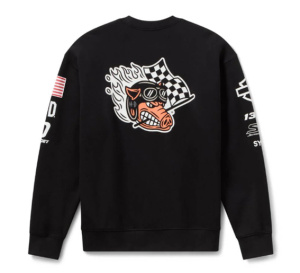 H-D FACTORY RACING COLLEGEPAITA 2