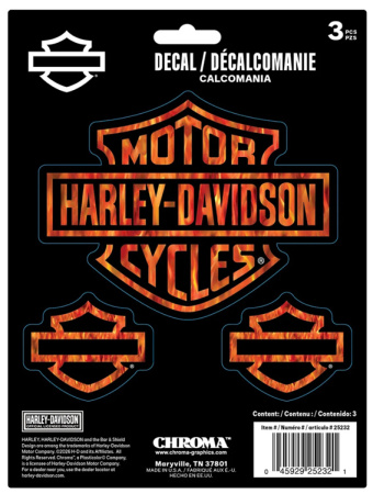 H-D TARRA B&S FLAMES