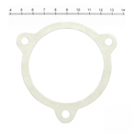 James, throttle body/filter to air cleaner housing gasket