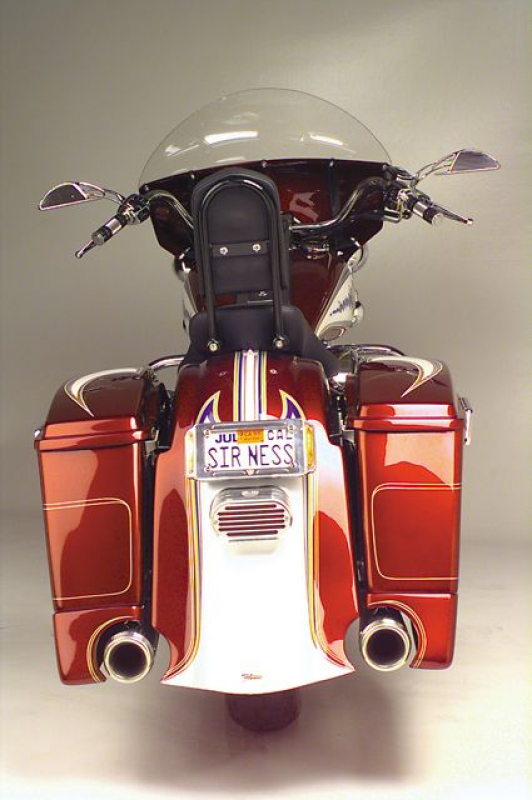 REAR BAGGER FENDER COVER & SADDLE BAG EXTENSION FLT 05326