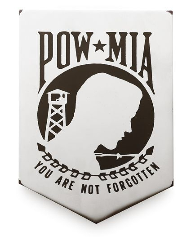 POW HORN COVER ASSEMBLY 6099089