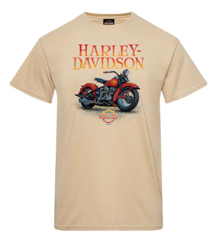 MIESTEN H-D T-PAITA GOUACHE 40291885