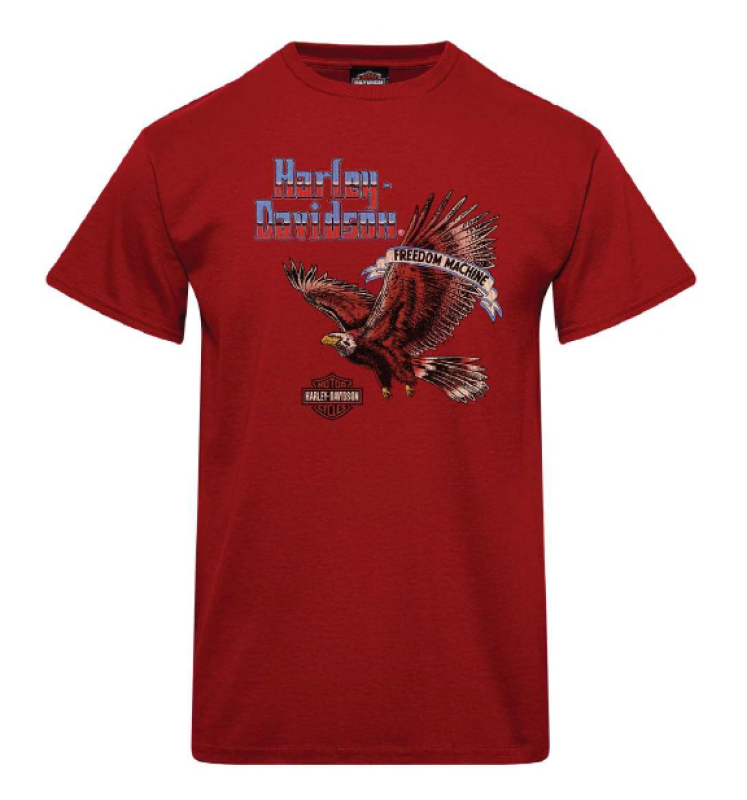 MIESTEN  H-D T-PAITA SOAR 40291898