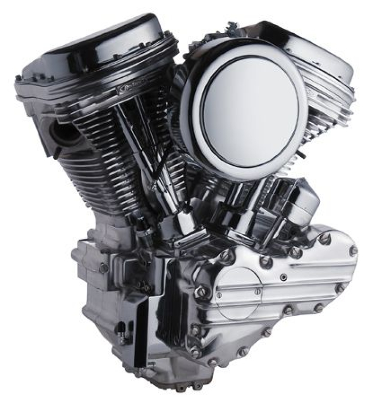 POL.XZOTIC 110" PANHEAD MOTOR TÜV E/3 /      DISCONT 658716