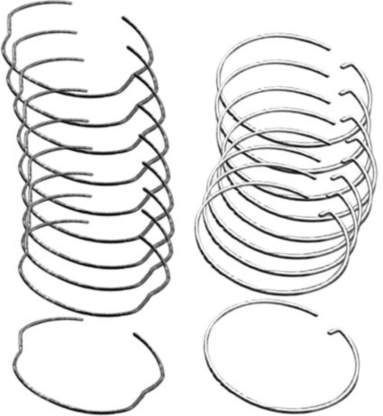 (10)RTNG RING  F/K SL  FX/FXR/ 160044