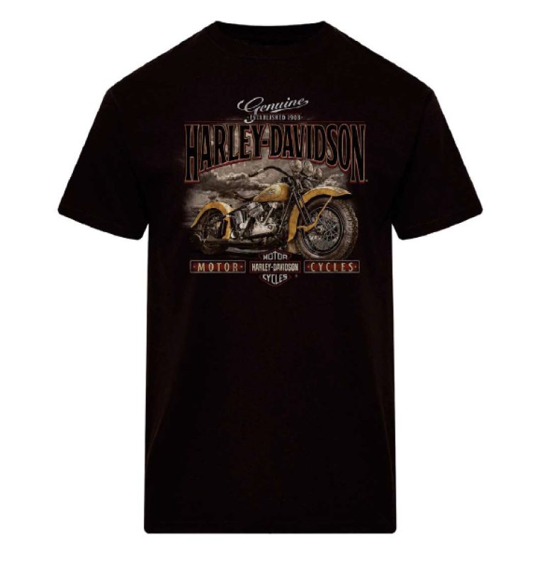 MIESTEN H-D T-PAITA NOBLE 40291886