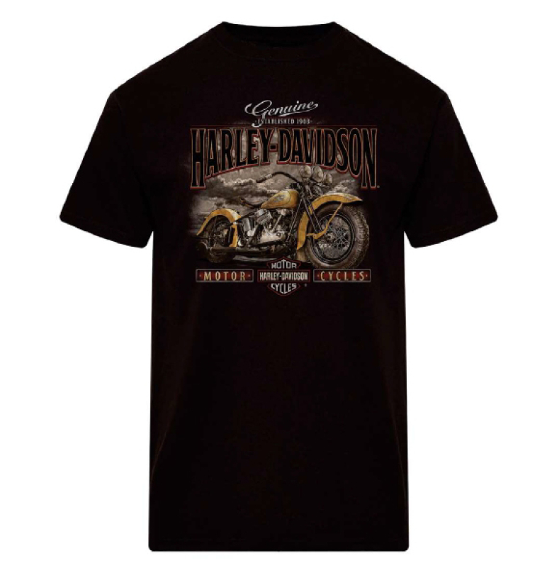 MIESTEN  H-D T-PAITA NOBLE 40291886