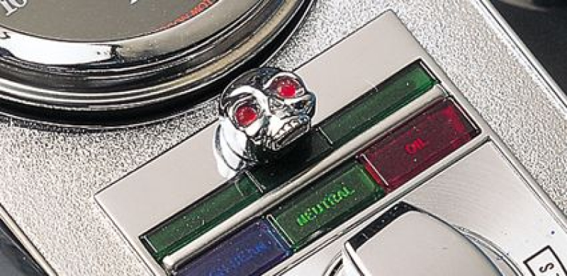 SKULL DASH PANEL NUT COVER 19971