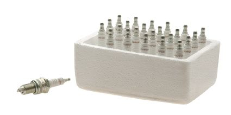 SPARK PLUG RN12YC SERVICE PACK (24) 031217