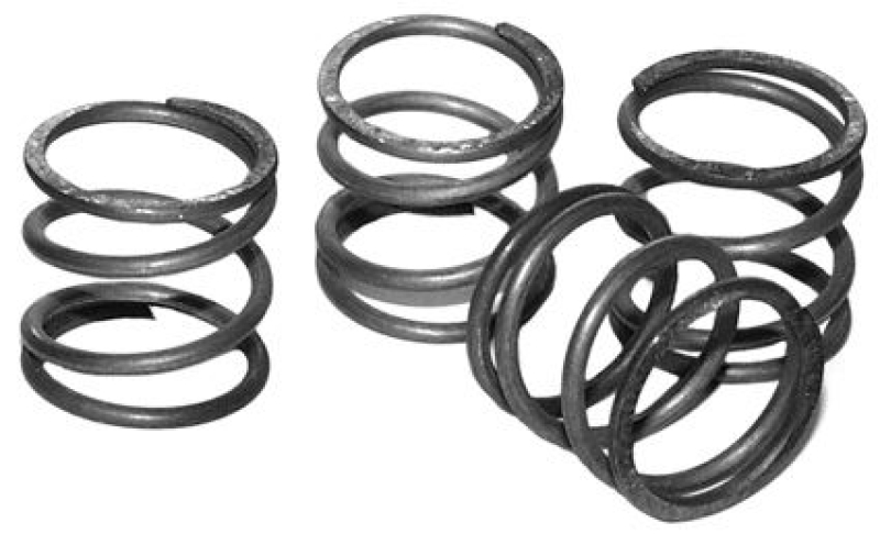 PUSHROD COVER SPRINGS 36-PRESENT 696568
