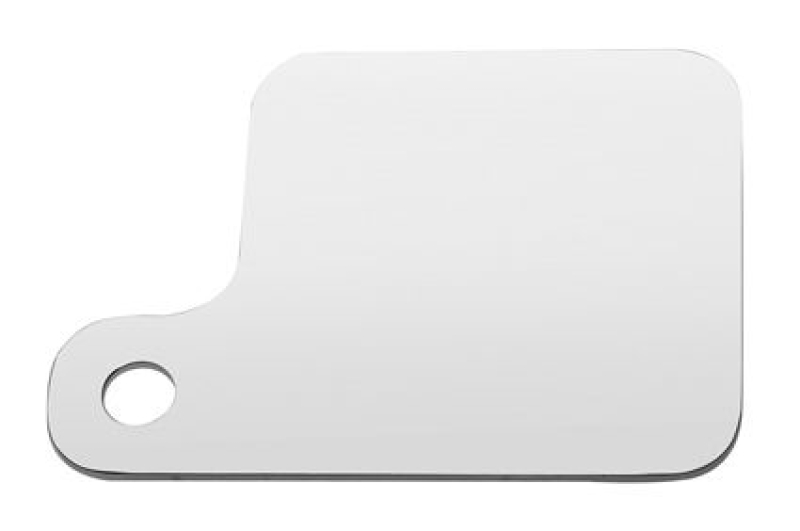 INSPECTION TAG PLATE POL STNLS 640052