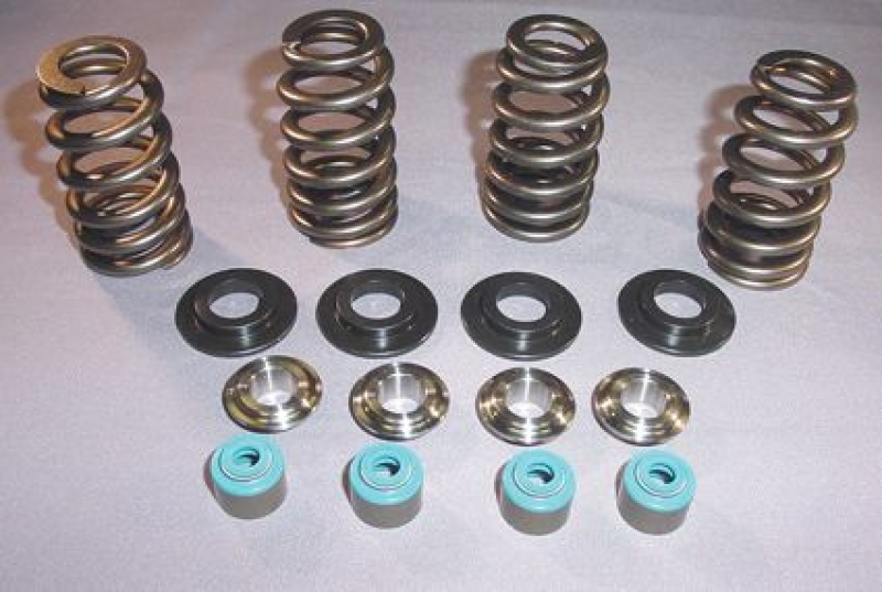 05 TC VALVE SPRING STL CLR 699242