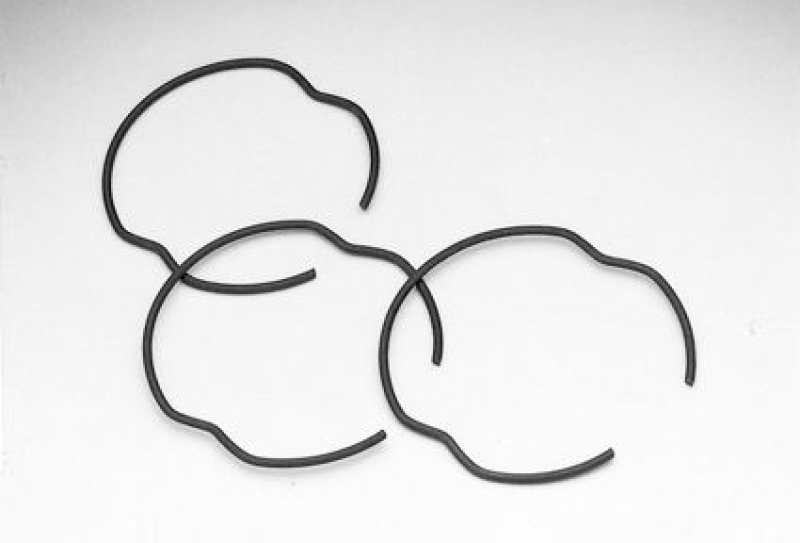 RETAIN.RING-FORK SEAL(10) 09631