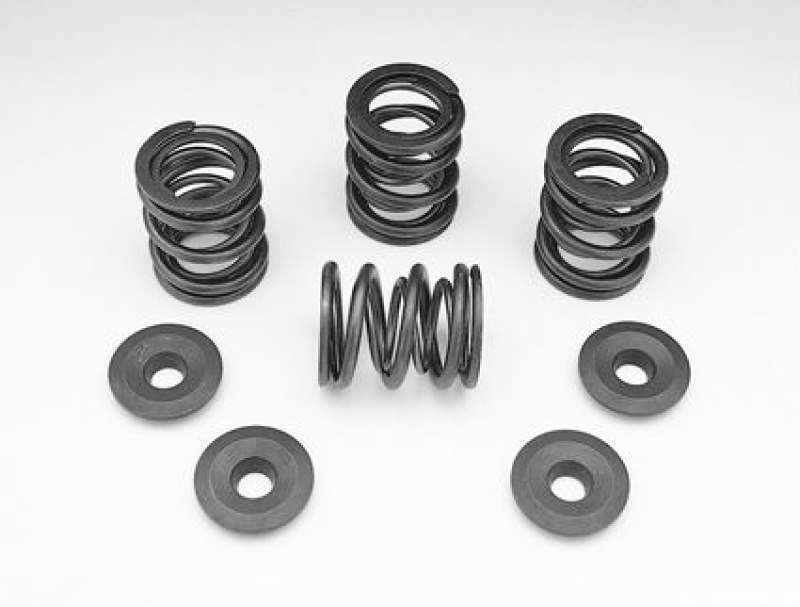SPRING KIT-STEEL-B/T48-84 24174
