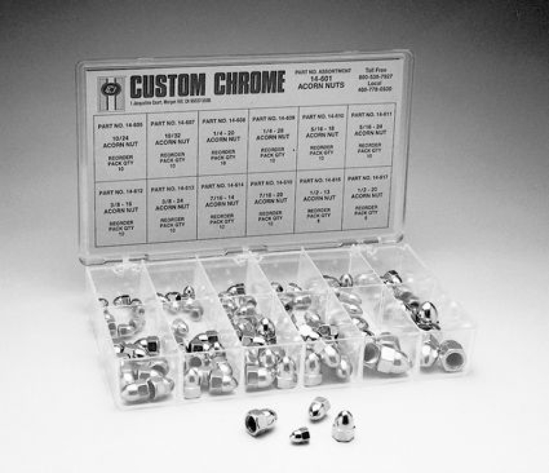 ACORN DISPLAY BOX-BULK-CH 14601