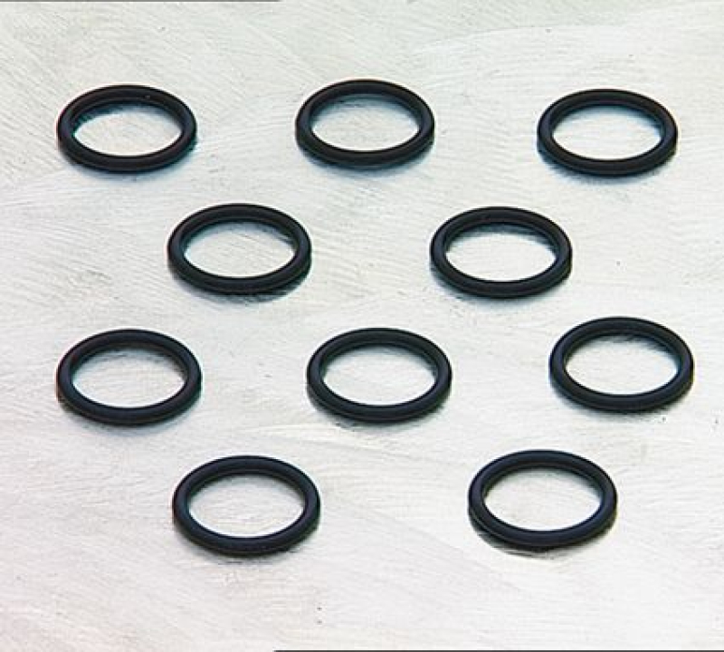 (10)ORING RCKR CVR F/ S/HD 66- 090553