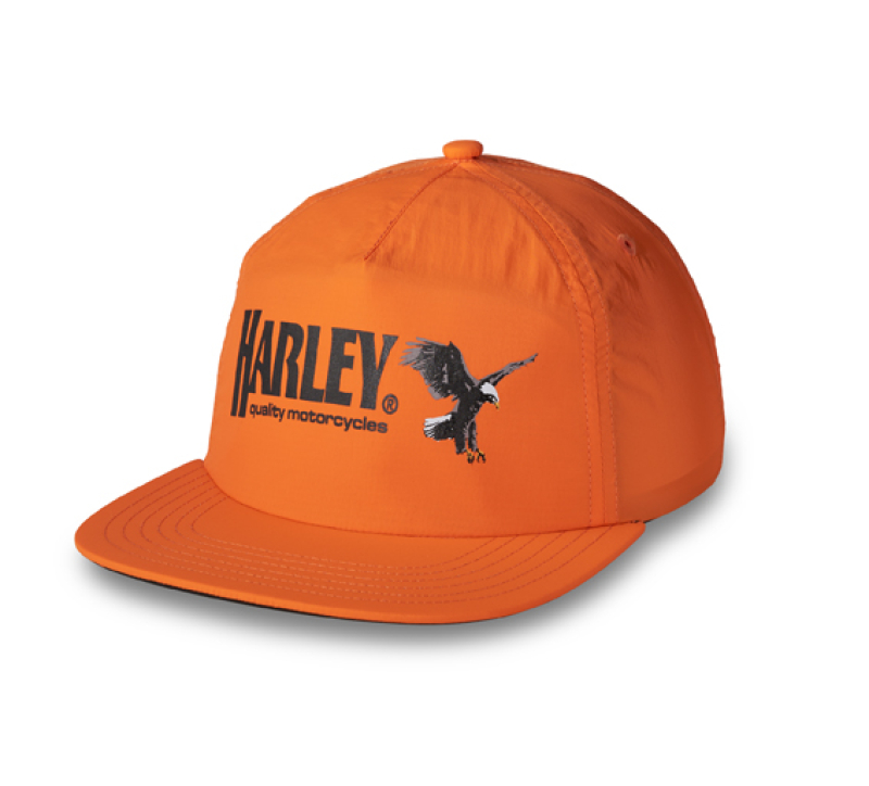 H-D LIPPIS RISING EAGLE 97734-24VM