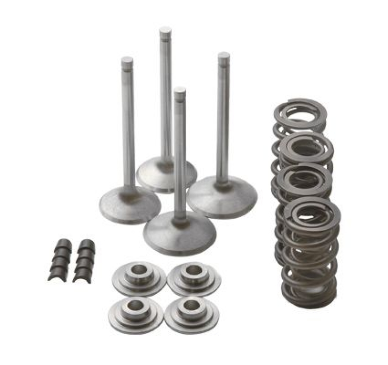 SEV.DUTY VALVE KIT 650+EVO 99277