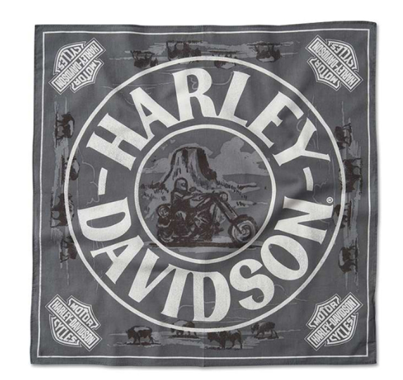 H-D STURGIS -HUIVI 97749-24VM