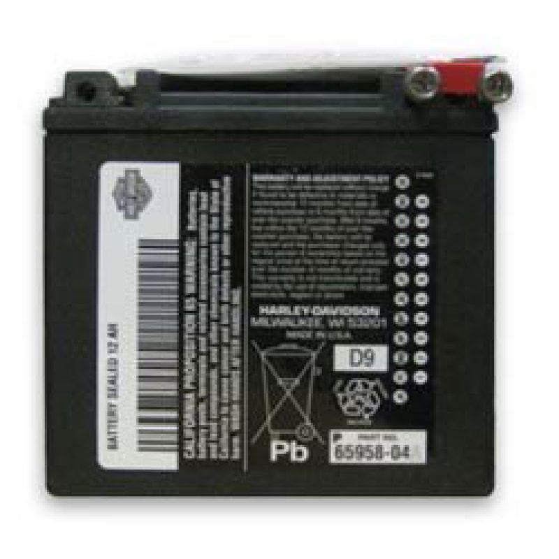 AKKU H-D AGM, KIT,BAT,12AH 66000208