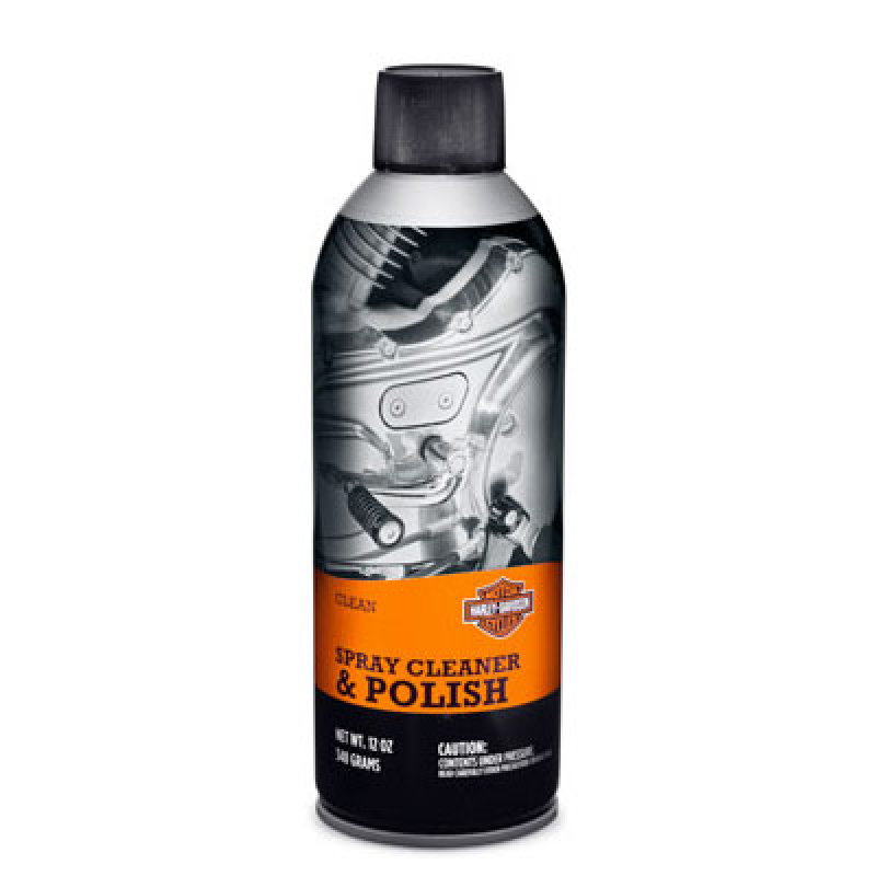 SPRAY CLEANER & POLISH, 12-OZ 93600084
