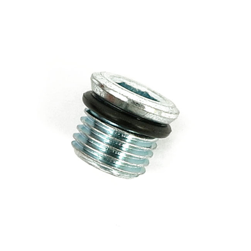 DRAIN PLUG PRIMARY, MAGNETIC 502456