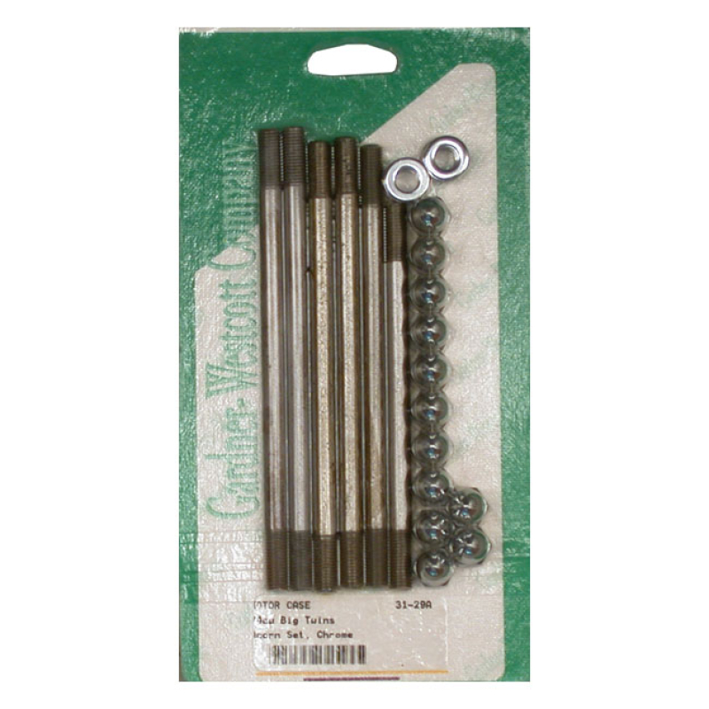 CRANKCASE BOLT KIT, ACORN 513325