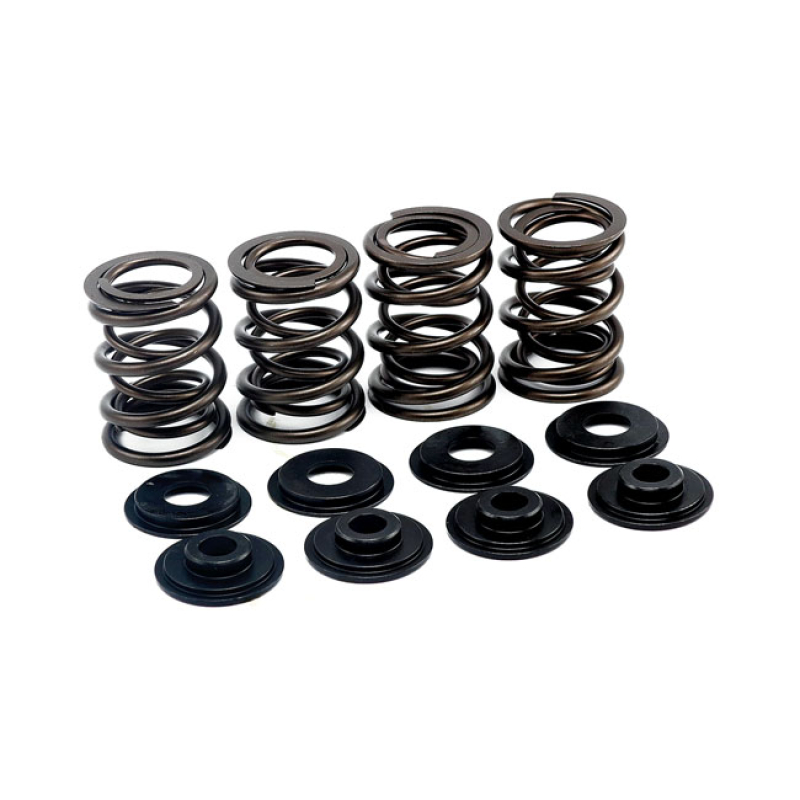 MANLEY VALVE SPRING KIT 513993