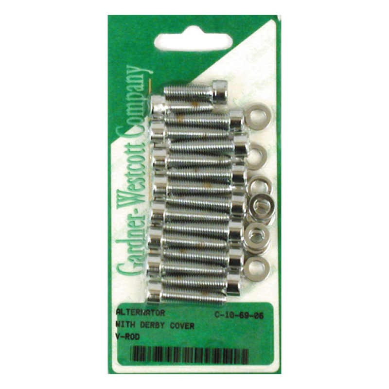 GW, ALTERNATOR & DERBY CVR MOUNT SET 514291