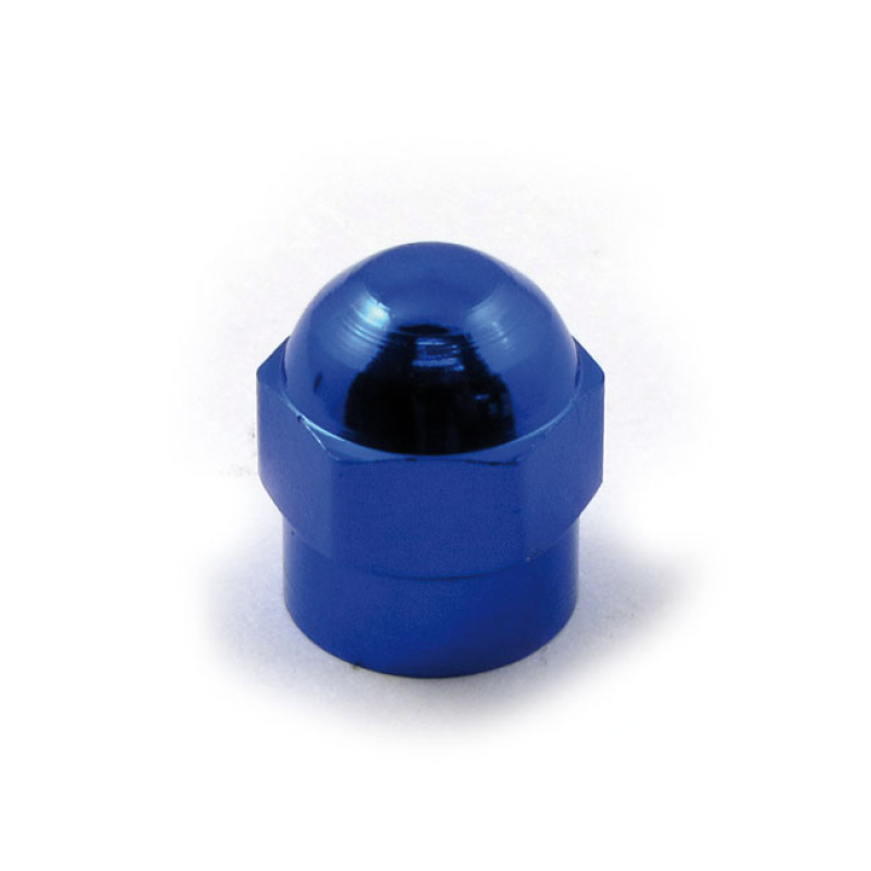 VALVE STEM CAP 18 BLUE 514908