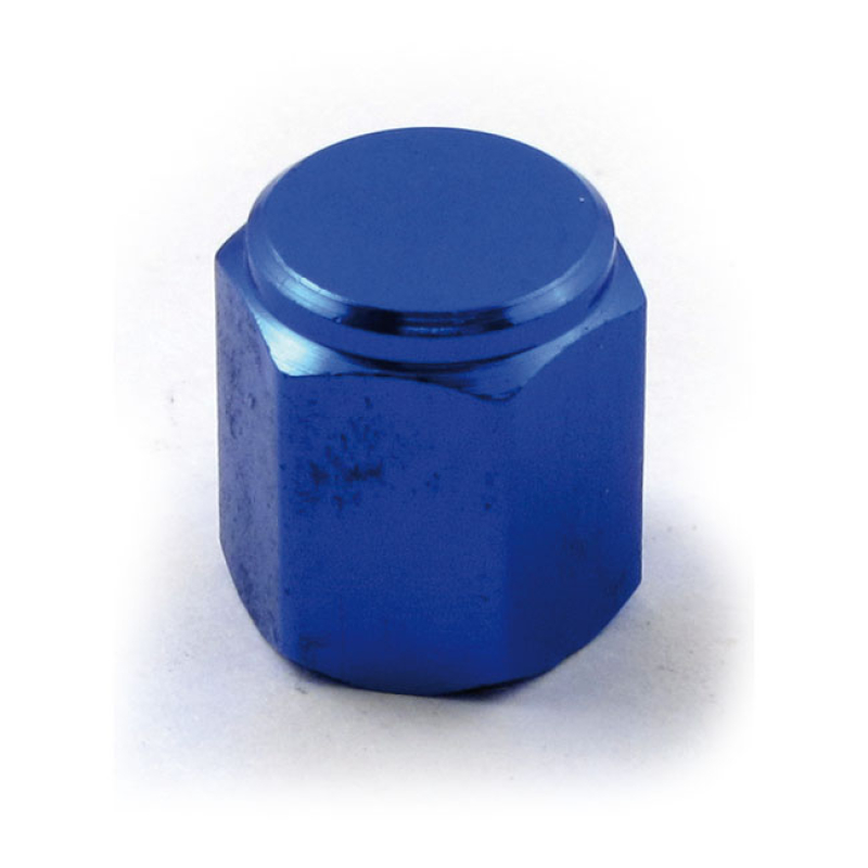 VALVE STEM CAP 19 BLUE 514913