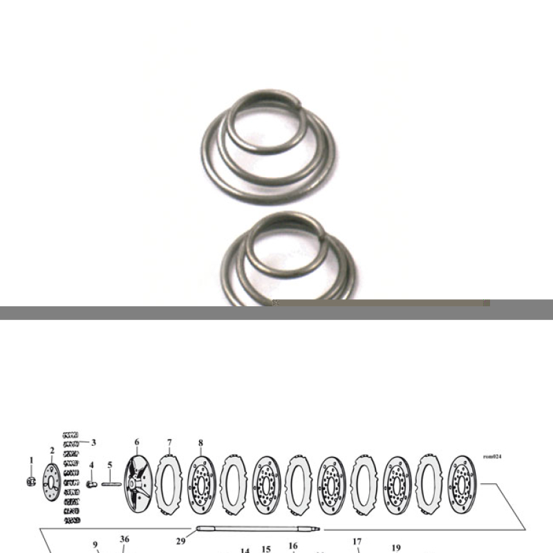 BEARING RETAINER SPRINGS 519770
